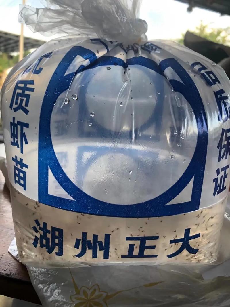 正大水产湖北有限公司有何新动向？-第1张图片-宁夏农业信息网