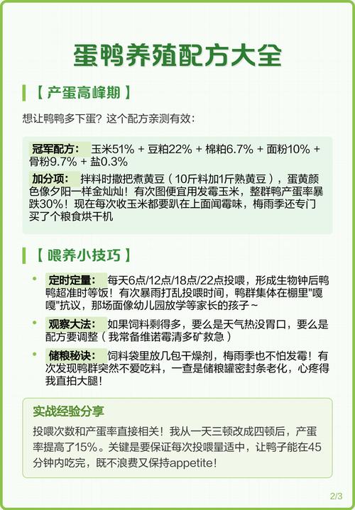 最新蛋鸭饲料配方方法是什么？-第1张图片-宁夏农业信息网