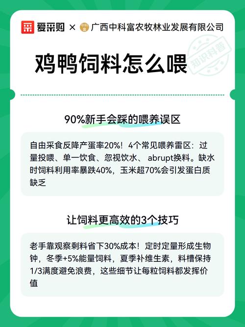 最新蛋鸭饲料配方方法是什么？-第2张图片-宁夏农业信息网
