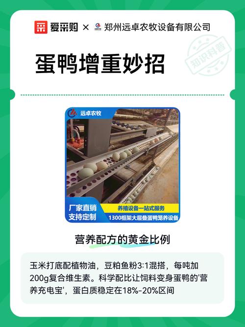 最新蛋鸭饲料配方方法是什么？-第3张图片-宁夏农业信息网