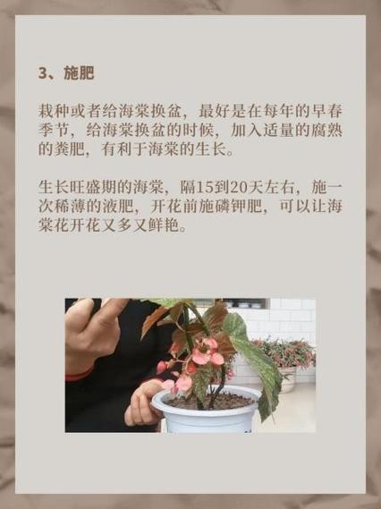 萝卜海棠花怎么养才好？-第1张图片-宁夏农业信息网