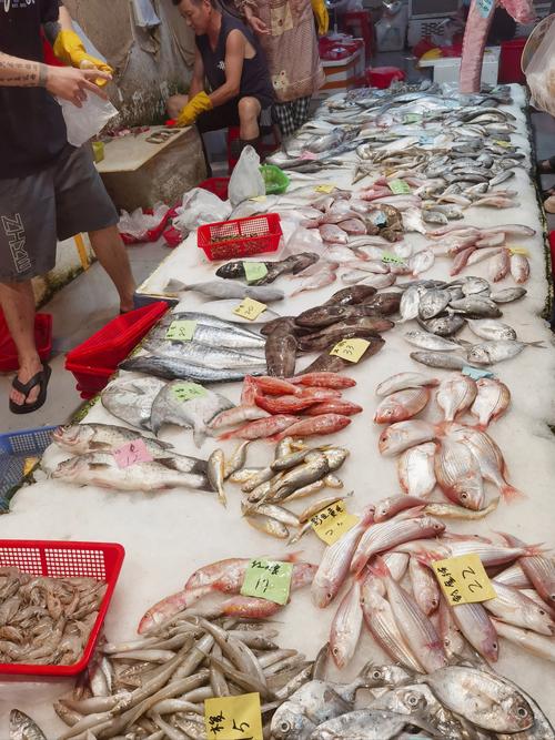 江苏盐城水产批发市场有何特色与行情？-第2张图片-宁夏农业信息网