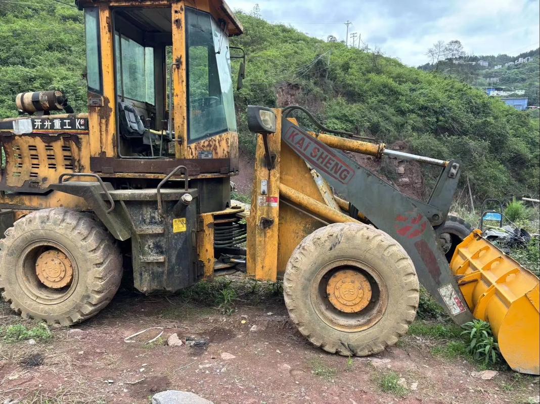 鹤岗二手铲车价格多少？能干农活吗？-第3张图片-宁夏农业信息网