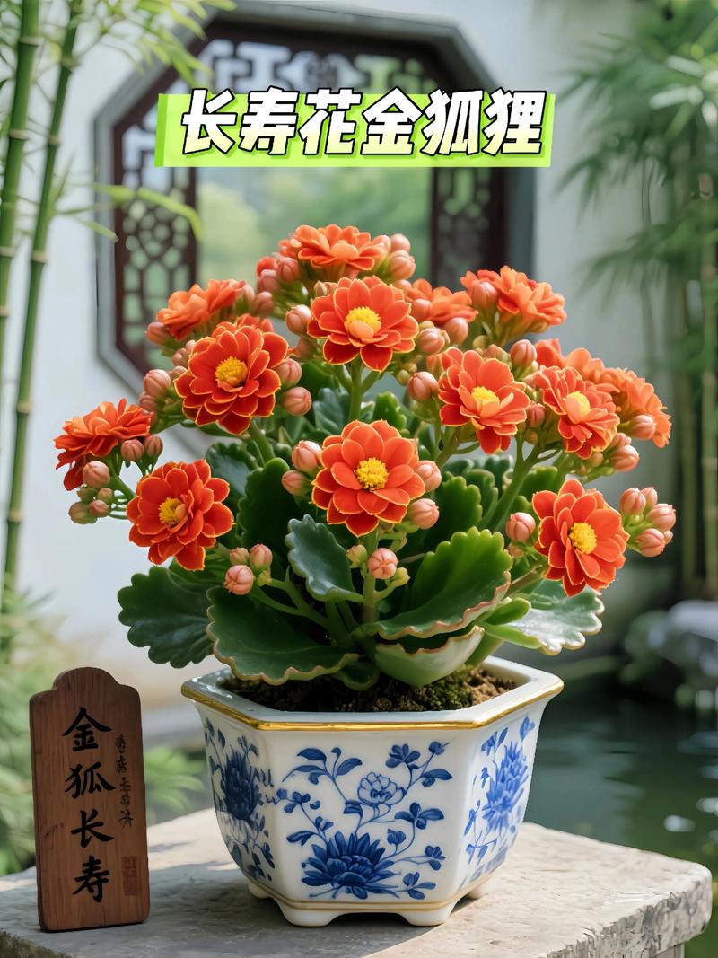 哪些盆景品种最具收藏与投资价值？-第2张图片-宁夏农业信息网