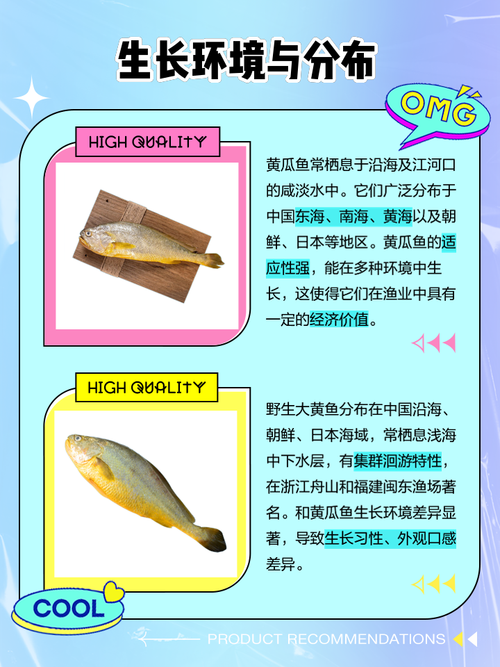 野生黄瓜鱼到底有多少品种?-第3张图片-宁夏农业信息网 野生黄瓜鱼到底有多少品种?-第3张图片-宁夏农业信息网