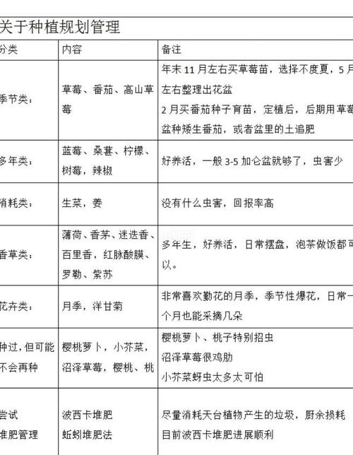 广东菜何时种？怎么种？-第3张图片-宁夏农业信息网