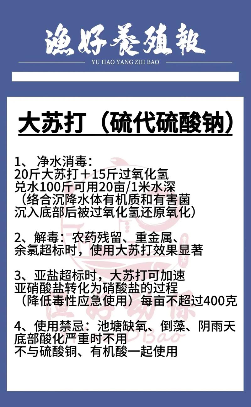 大苏打在水产养殖中到底有啥用？-第1张图片-宁夏农业信息网