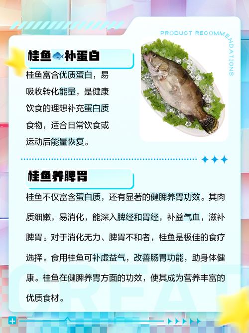 鳜鱼养殖哪个品种效益高？-第3张图片-宁夏农业信息网