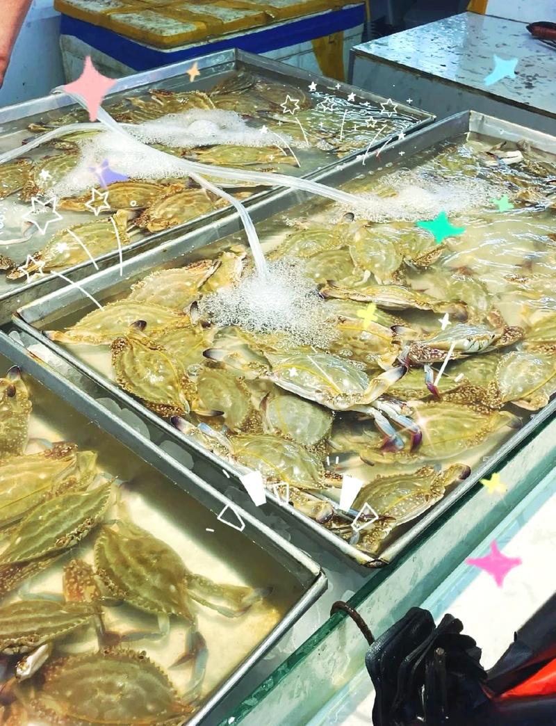 海鲜水产批发市场行情如何？-第3张图片-宁夏农业信息网