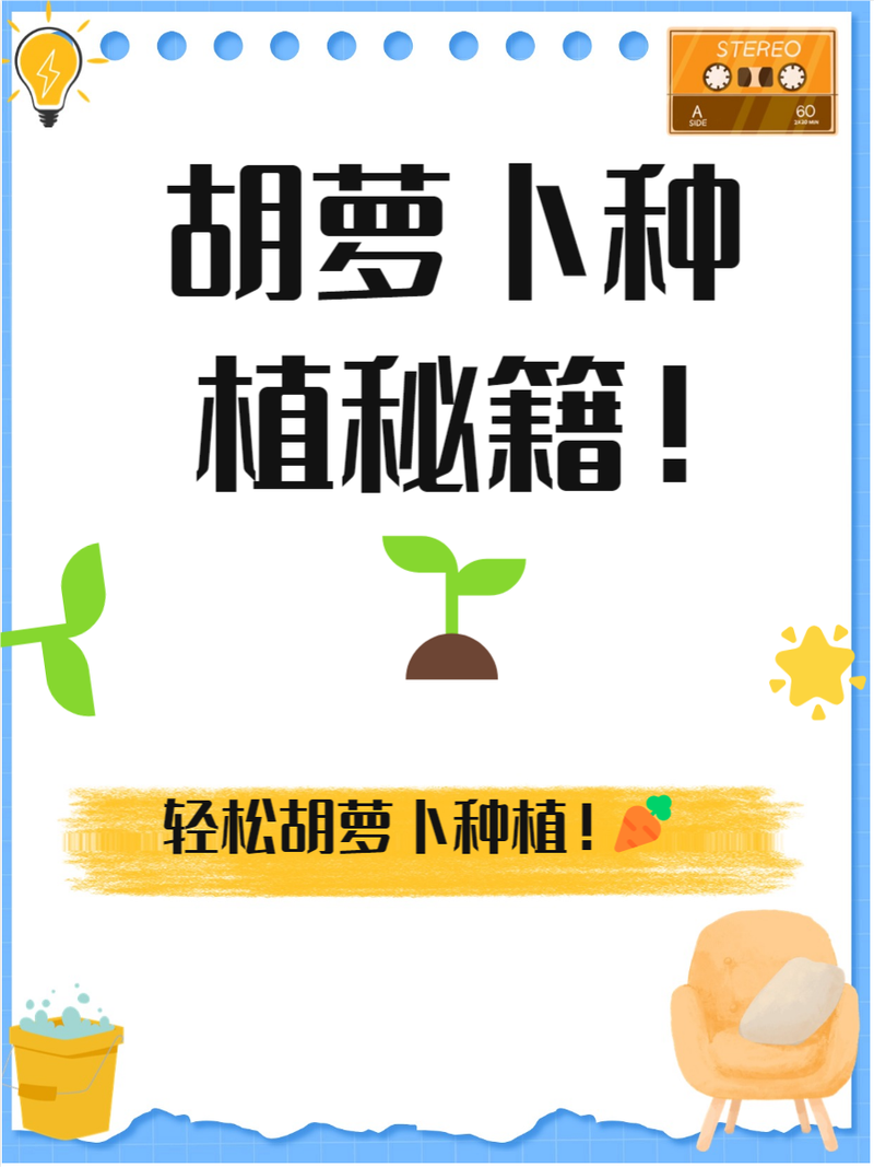 地罗卜何时种？怎么种才高产？-第2张图片-宁夏农业信息网