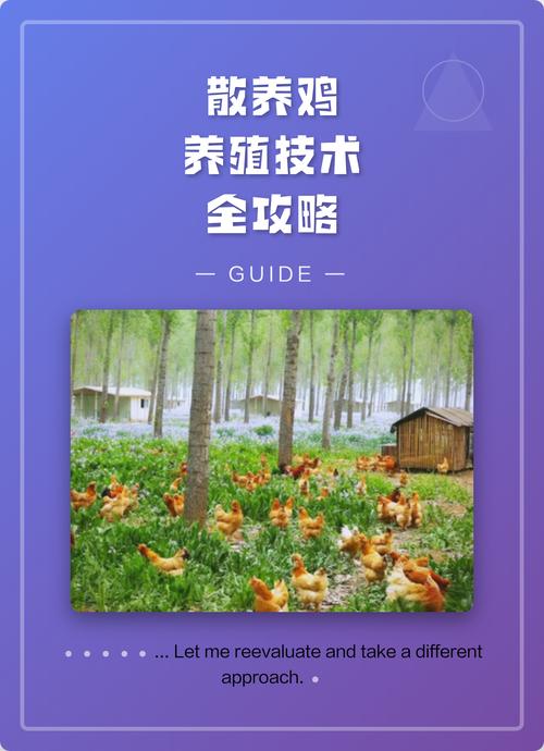 冬天养鸡有哪些关键技术要点?-第2张图片-宁夏农业信息网 冬天养鸡有哪些关键技术要点?-第2张图片-宁夏农业信息网