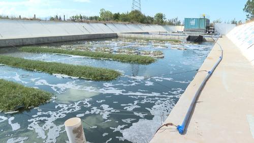 浙江中正水产有限公司主营什么业务？-第2张图片-宁夏农业信息网