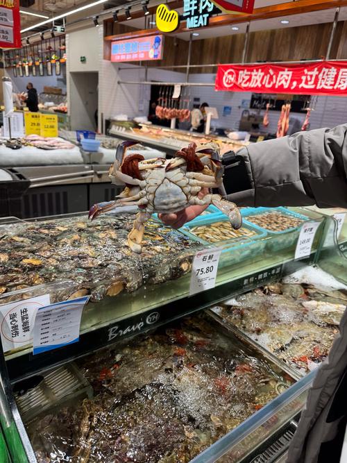 水产店利润究竟如何？-第1张图片-宁夏农业信息网