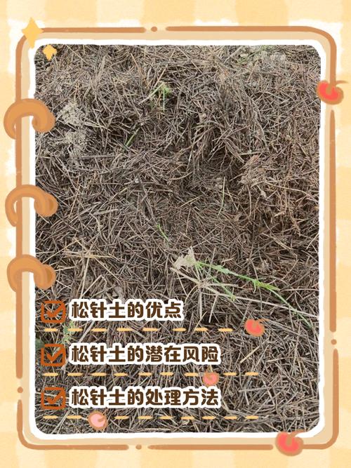 松土有哪些方法和注意事项？-第1张图片-宁夏农业信息网