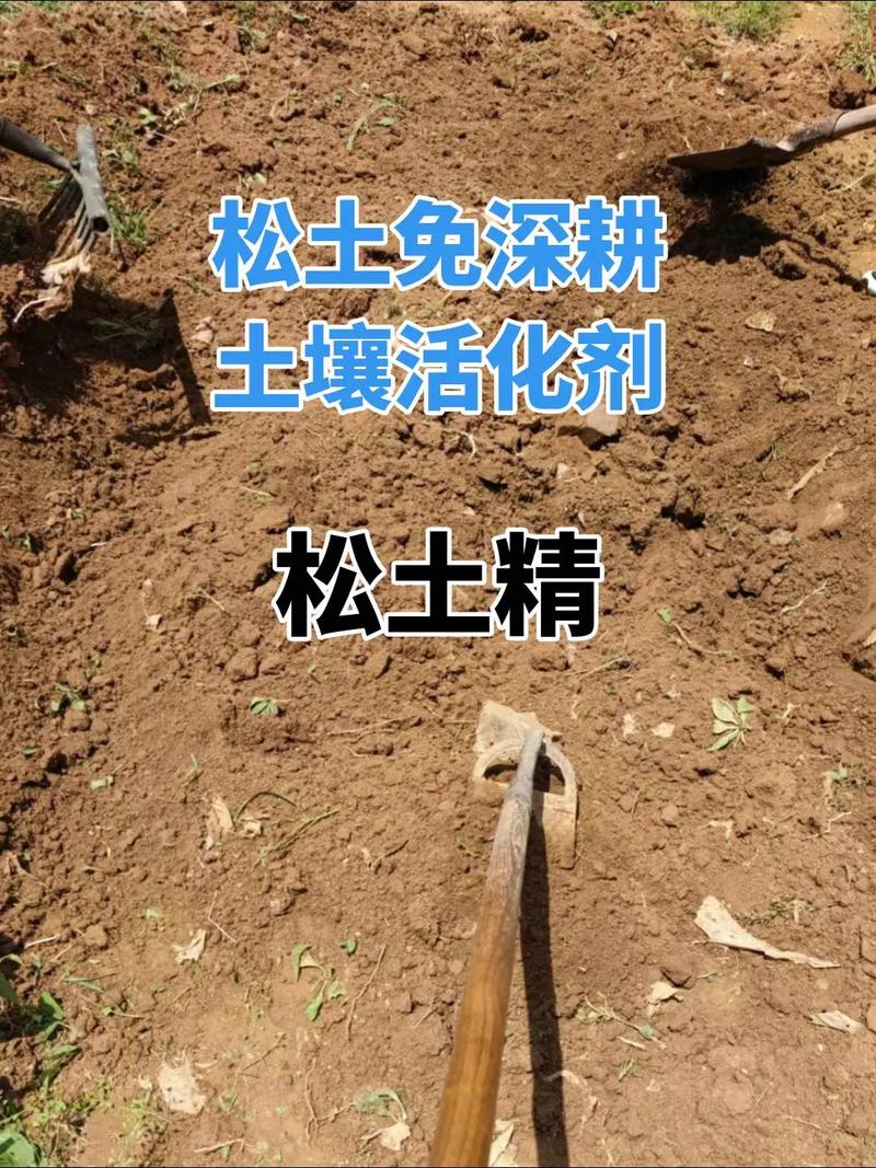 松土有哪些方法和注意事项？-第3张图片-宁夏农业信息网