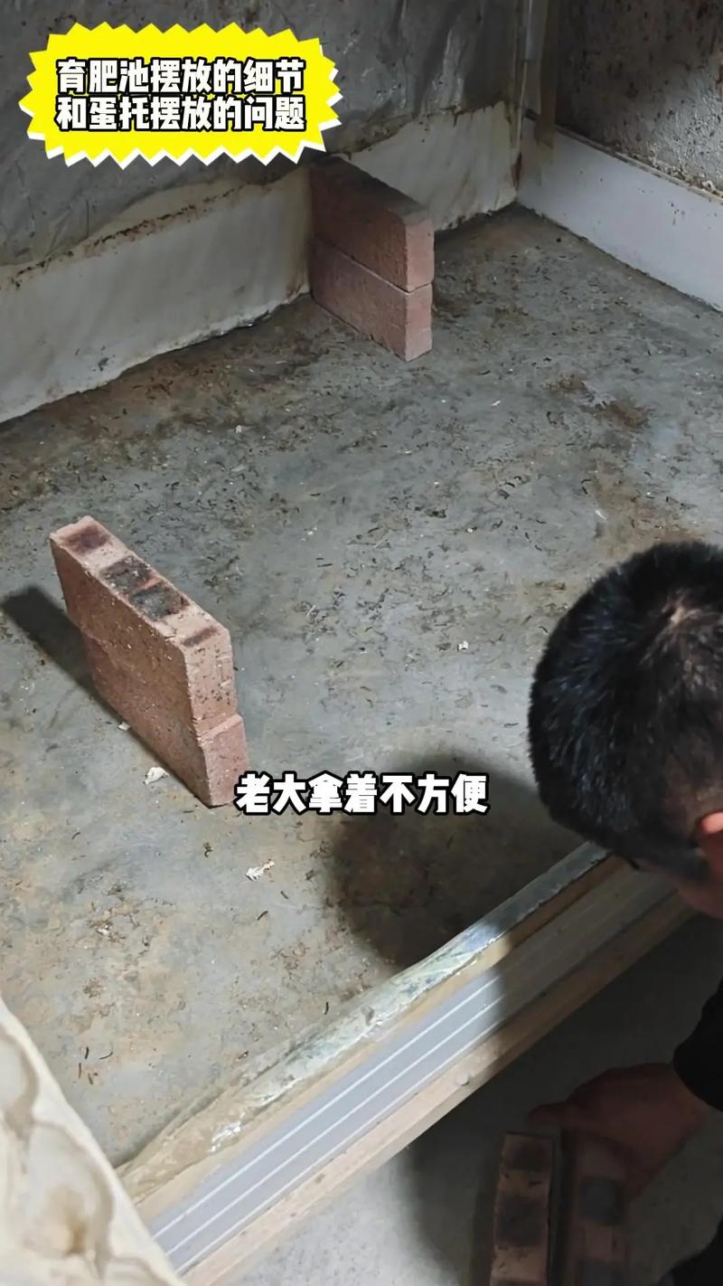 蛋托养蝎子怎么操作才正确？-第2张图片-宁夏农业信息网