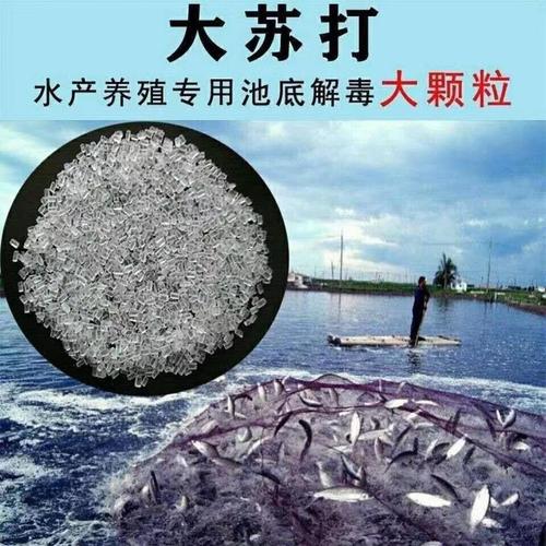 水产用大苏打如何使用-第2张图片-宁夏农业信息网