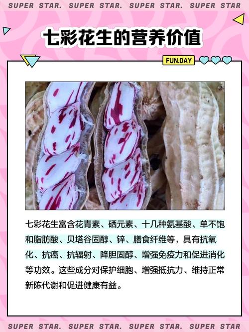 七彩花生怎么种?图解方法看这里!-第1张图片-宁夏农业信息网 七彩花生怎么种?图解方法看这里!-第1张图片-宁夏农业信息网