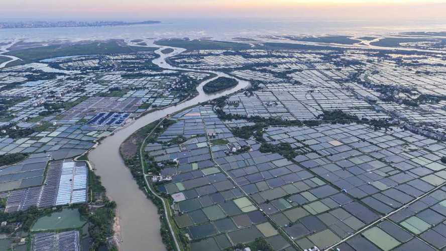 广西大型水产养殖基地有何特色？-第1张图片-宁夏农业信息网