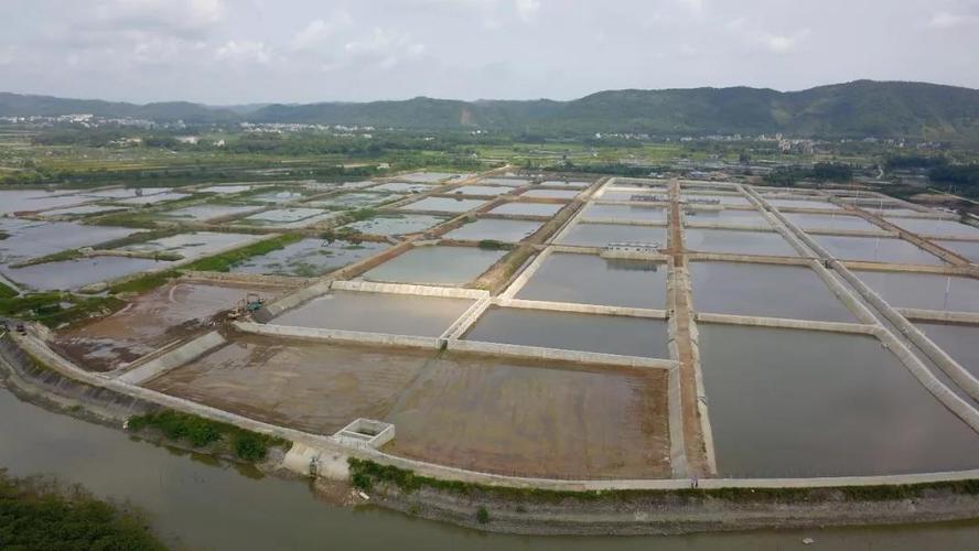 广西大型水产养殖基地有何特色？-第2张图片-宁夏农业信息网