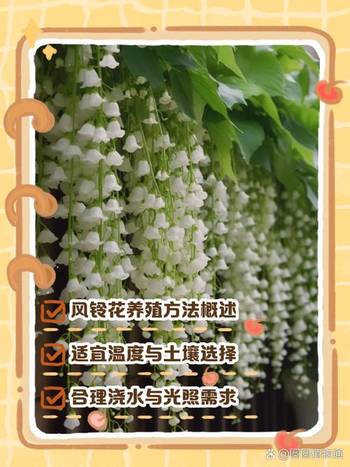 法国风铃草怎么养？-第1张图片-宁夏农业信息网