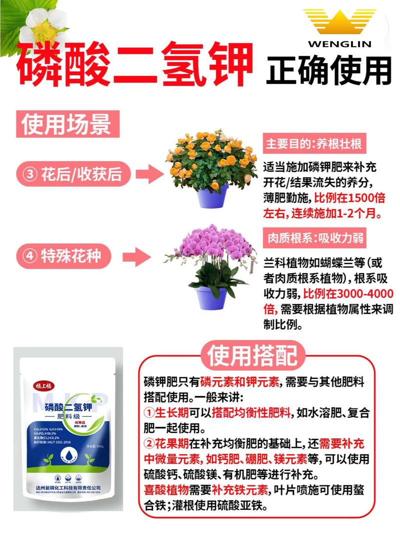 磷肥如何助力水产养殖增产？-第3张图片-宁夏农业信息网