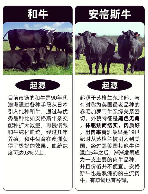 散养牛选什么品种好?-第1张图片-宁夏农业信息网 散养牛选什么品种好?-第1张图片-宁夏农业信息网