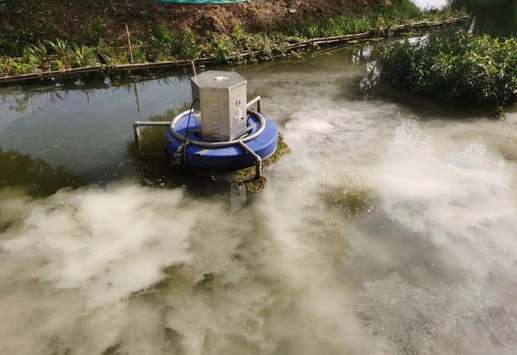 虾塘蓝藻爆发怎么办？-第2张图片-宁夏农业信息网