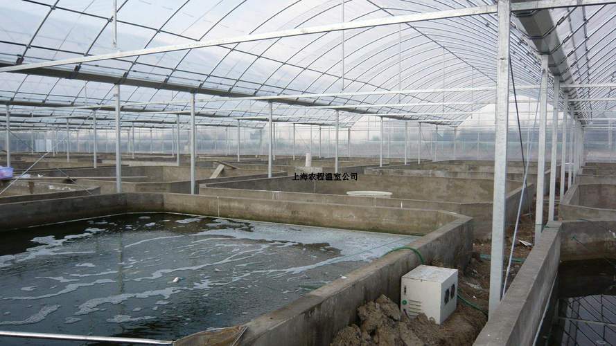 水产养殖大棚补贴政策有哪些具体内容？-第3张图片-宁夏农业信息网