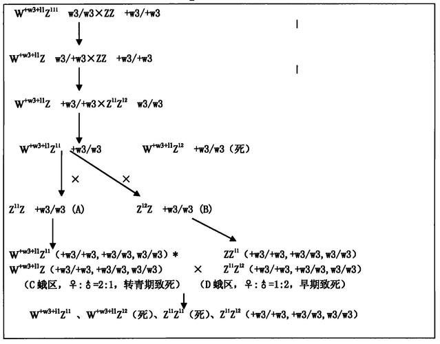 杂交改良品种有哪些核心方法？-第2张图片-宁夏农业信息网