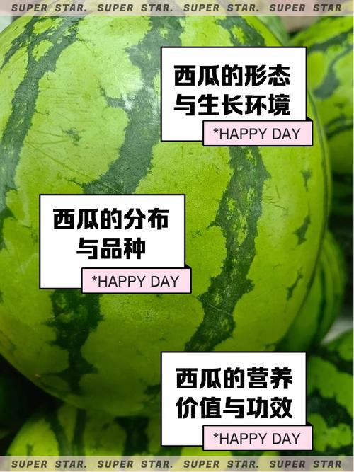 西瓜品种有哪些？农广天地为您介绍。-第1张图片-宁夏农业信息网