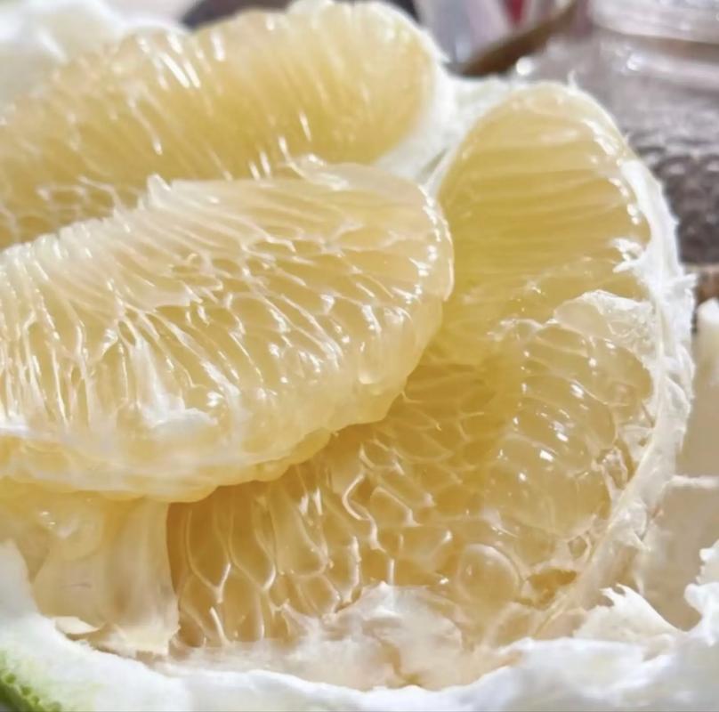 北方适合种哪些柚子品种？-第2张图片-宁夏农业信息网