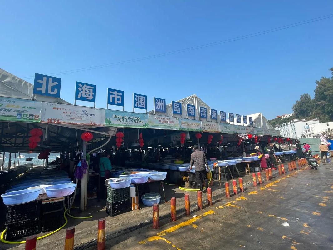 广西北海水产批发市场有何特色？-第3张图片-宁夏农业信息网