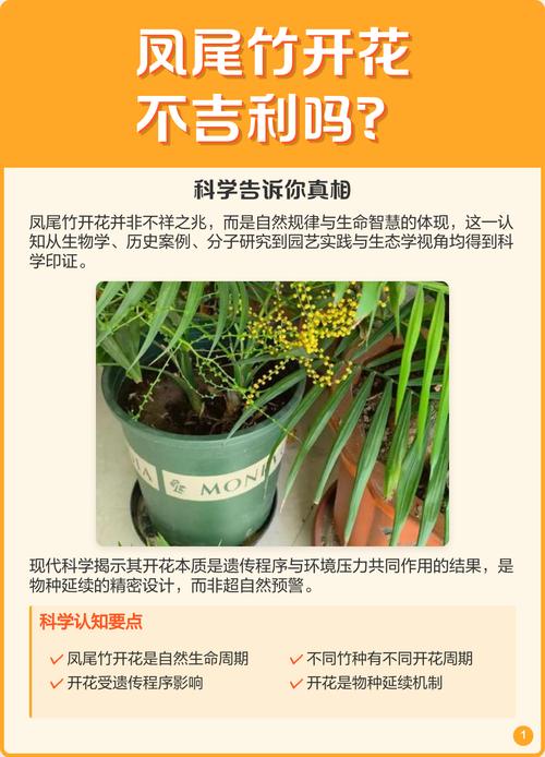 凤尾竹开花后怎么处理？-第2张图片-宁夏农业信息网