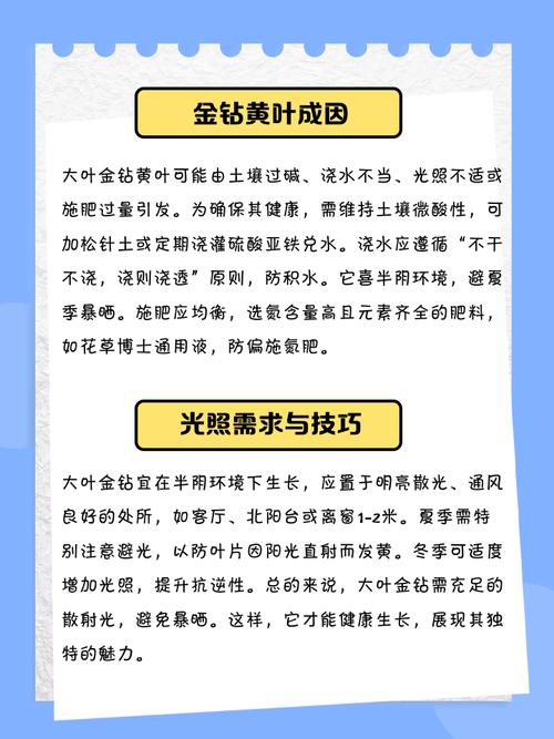 金钻花怎么繁殖？方法有哪些？-第3张图片-宁夏农业信息网