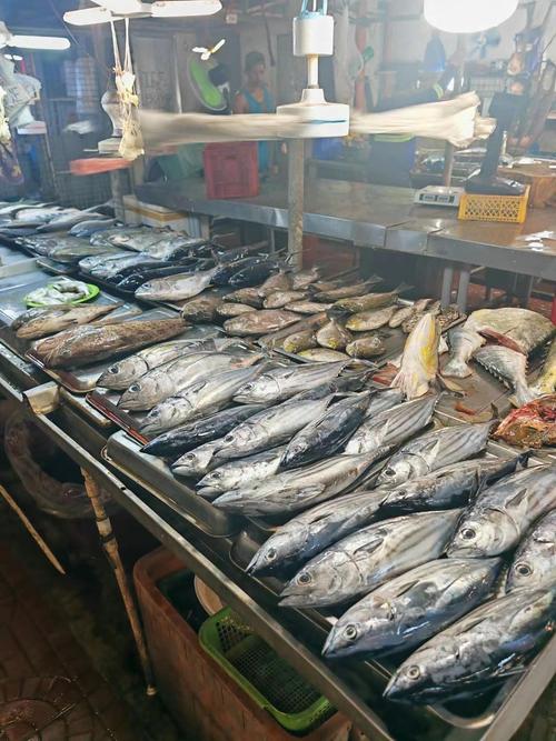 九江水产最大批发市场在哪？-第1张图片-宁夏农业信息网