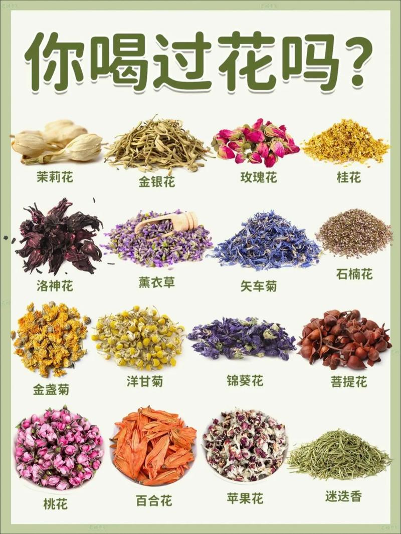 品种茶花名称如何对应图片？-第2张图片-宁夏农业信息网