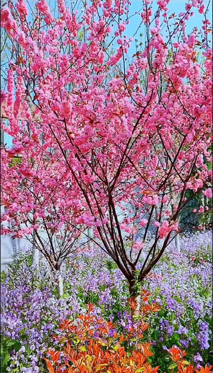 小苏打在水产养殖中怎么用？-第1张图片-宁夏农业信息网