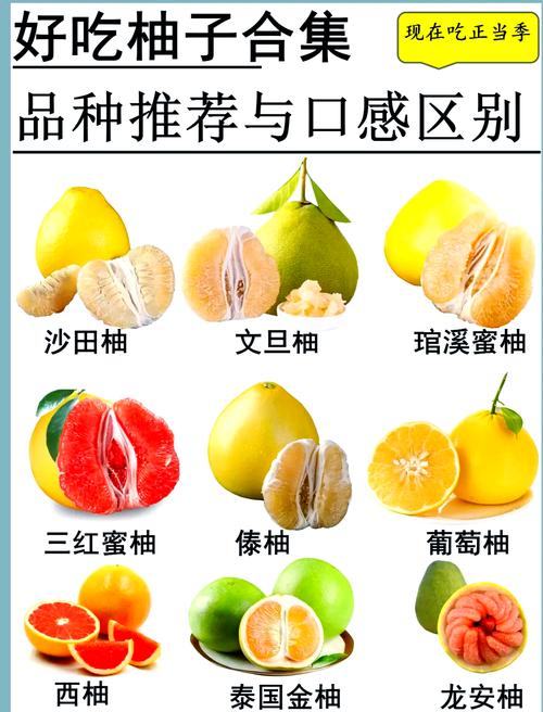 哪些柚子品种何时成熟？-第2张图片-宁夏农业信息网