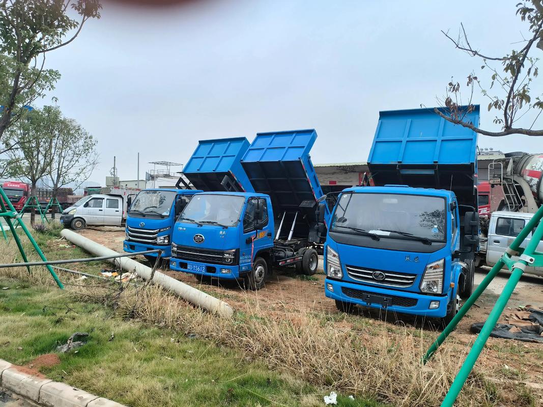 农用自卸车市场未来趋势如何？-第2张图片-宁夏农业信息网