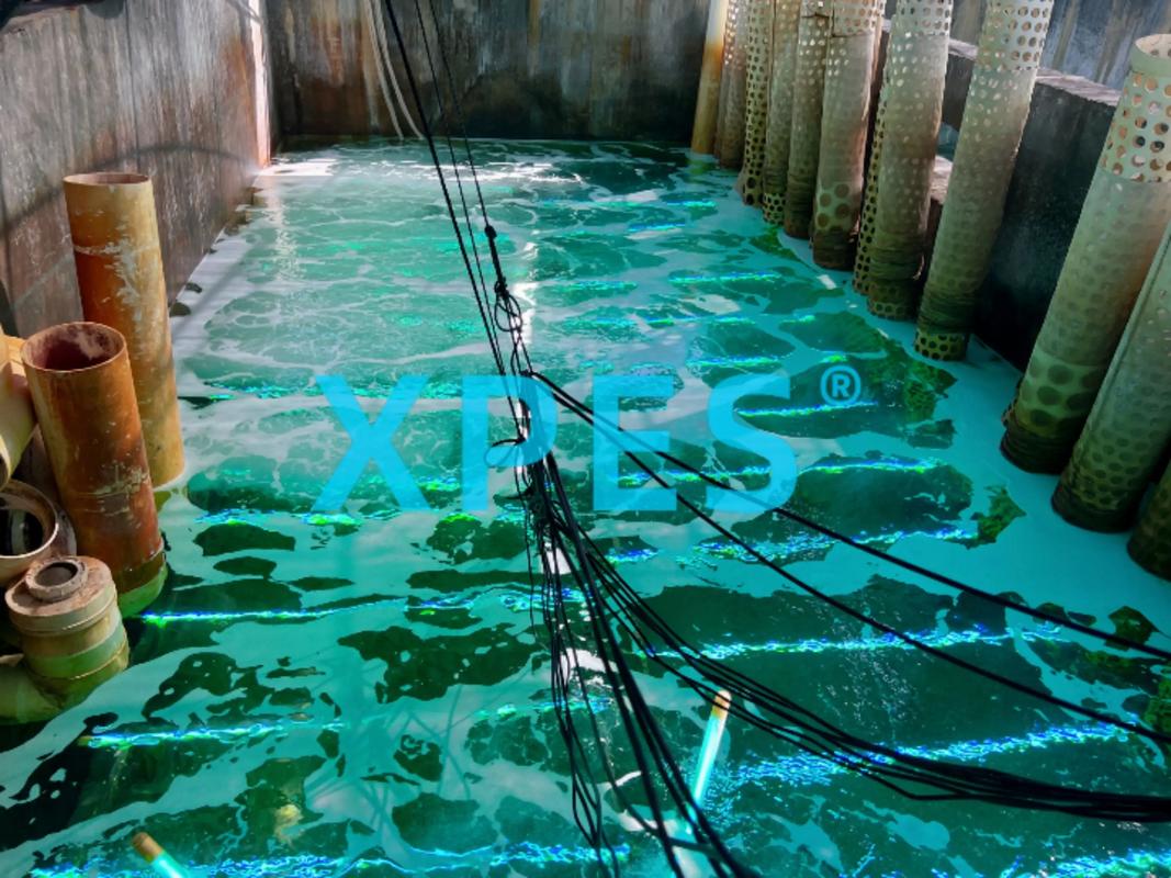 臭氧片如何用于水产养殖？-第3张图片-宁夏农业信息网