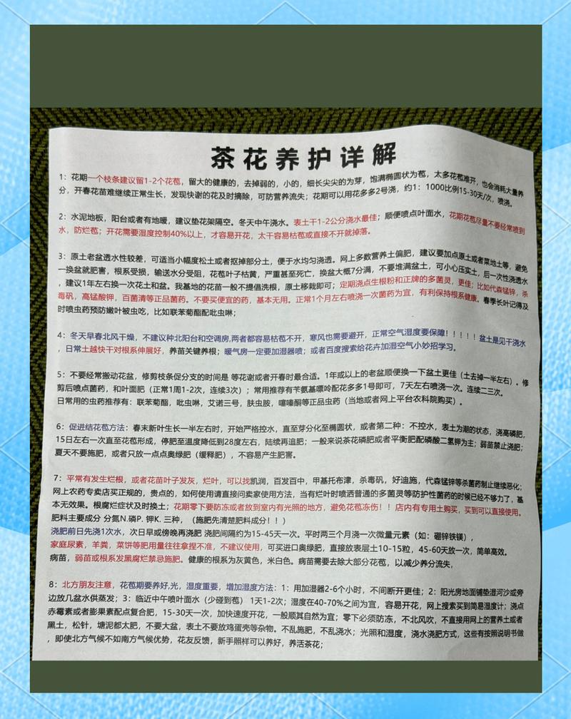 盆栽山茶花怎么繁殖最有效？-第2张图片-宁夏农业信息网