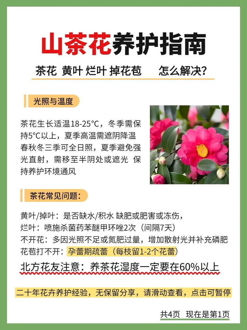 盆栽山茶花怎么繁殖最有效？-第1张图片-宁夏农业信息网